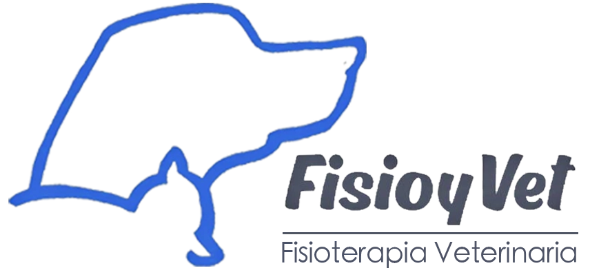 FisioyVet