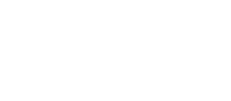 FisioyVet